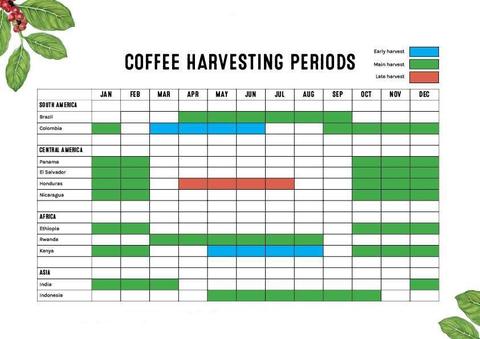 A calendar of when coffees are harvested in different coffee growing regions